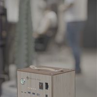 kaguyabamboo