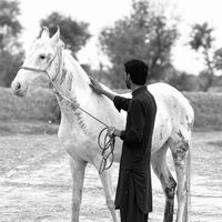 faizfareedbaloch