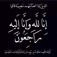 user88168559