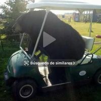 sonido original - elalacran815