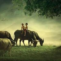original sound - ម៉ៅការសំណង់និងជូសជុល💕💕