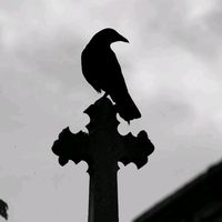 user411617815