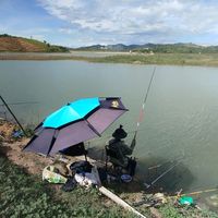 nhạc nền - sơn nè