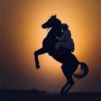 الصوت الأصلي