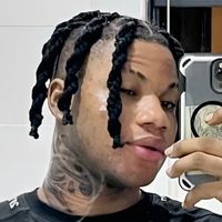 veesion_1