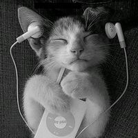 оригинальный звук