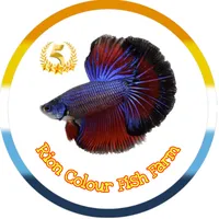 original sound - rion.colour.fish.farm