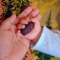1pakhii2