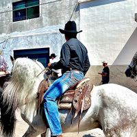 sonido original