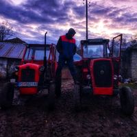 davidmitev542