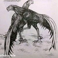 sardar_zulli_baloch