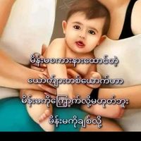 rose335578