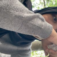 suara asli - Nanggroe Atjeh Darusalam