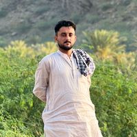 amirniazi3911