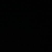 starzy_du_241