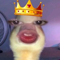 kimer_ants