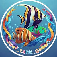 reef_tank_gaboo