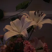 قرارمون یادت نره ..