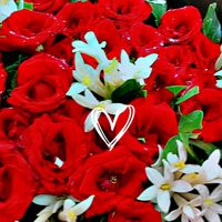 glossip_21