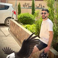 majd_khattab