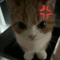 stori_likis
