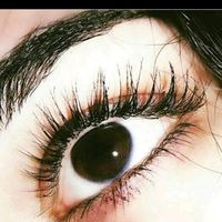 gul_92_u
