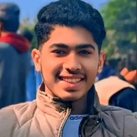 gullfamhussainansari2