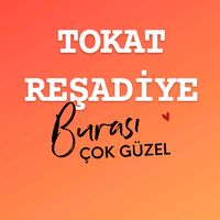 orijinal ses