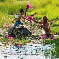 សំឡេងដើម - ម៉ៅ __🌻ចំណាប់🌻__🇰🇭