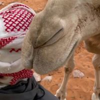 الصوت الأصلي