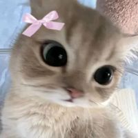 yael_abel16