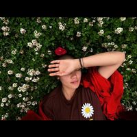 dolay365
