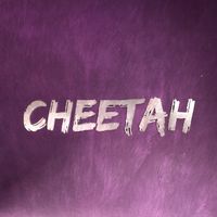 cheetah.eg_