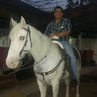 original sound - pabloenyucatan