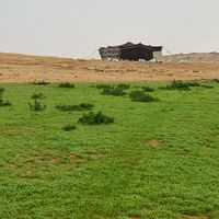 badar_226