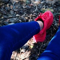 deysi_ms_25