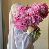 amera.alhlo