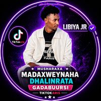 liibiyajr