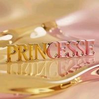 princesseroamba2