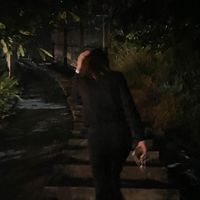 s_.nina2