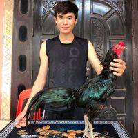 ken91923615
