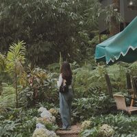 suara asli - bvtterswyt244