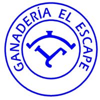 pasionbovina