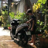 nhạc nền - não🧠 và sọ💀💔