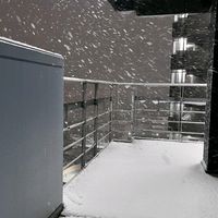 오리지널 사운드 - pppp