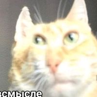 оригинальный звук