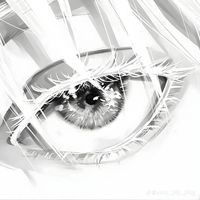 fakez11_