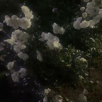 3hxuniio