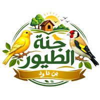 bensbaini.amir.ramy