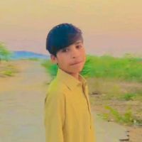 king.................313